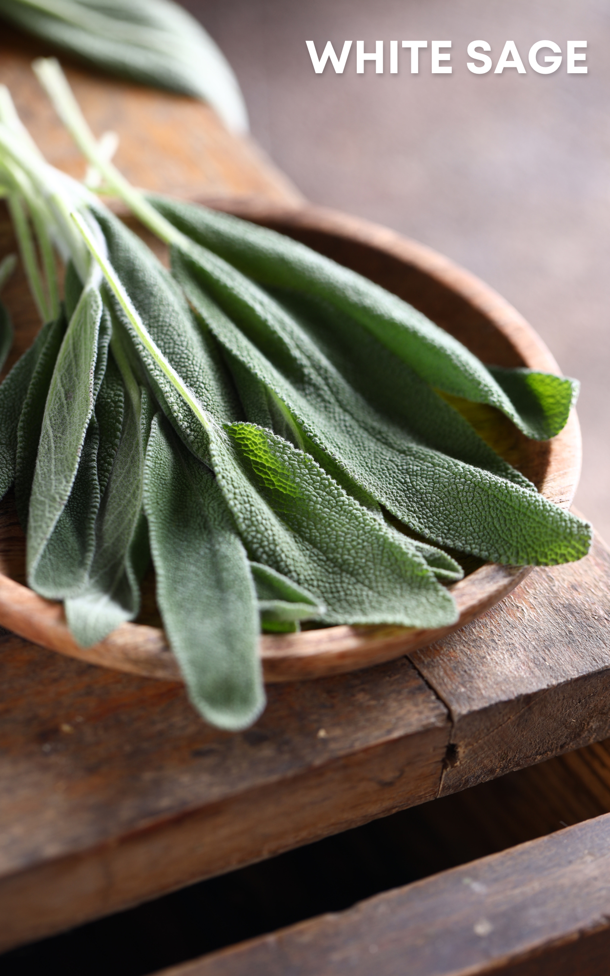 Sage Petite Spray Sample Organic Eau de Toilette 2mL by Sage