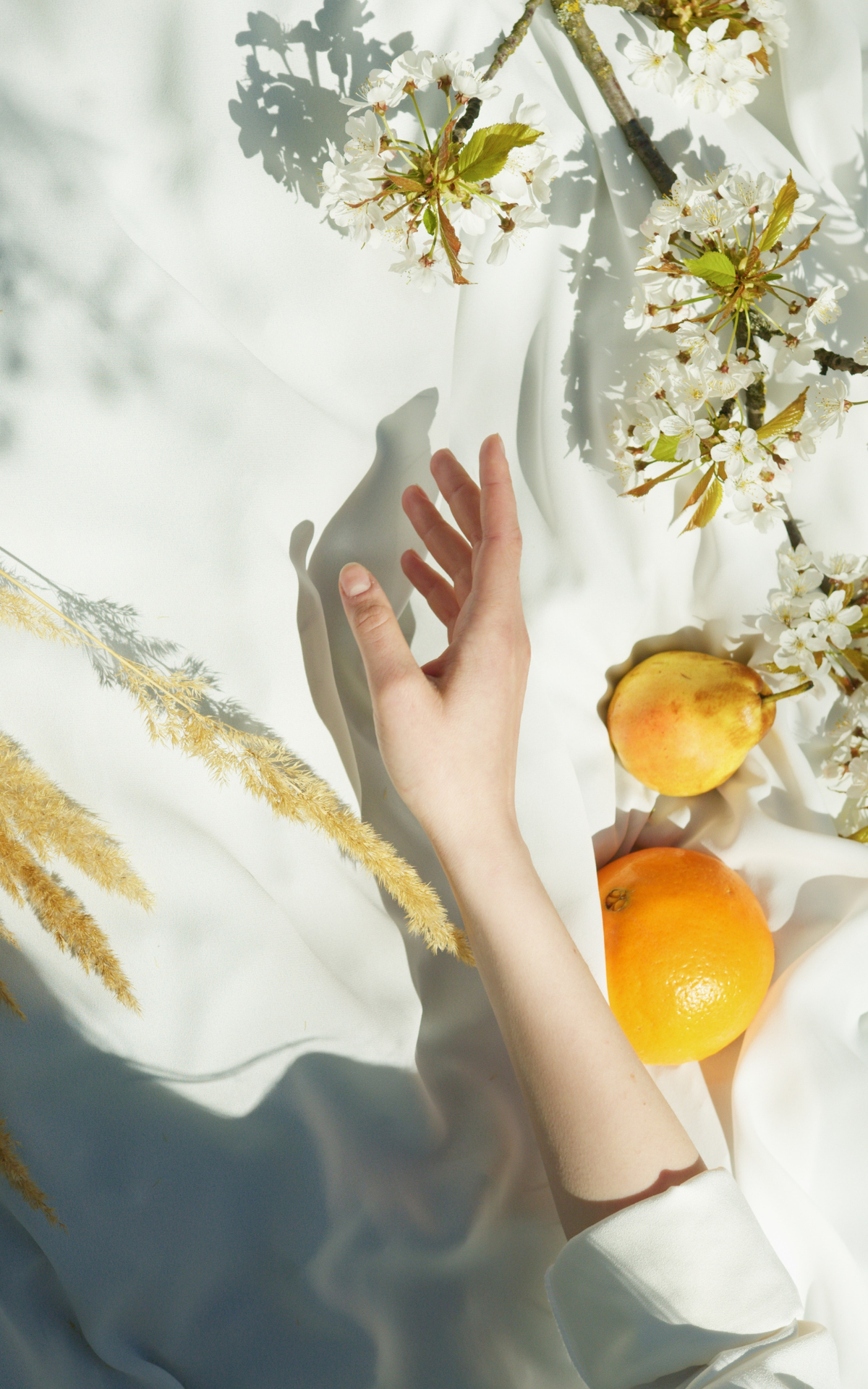 Sage & Citrine Blend Perfume Oil Concentrate Mini Rollie by Sage