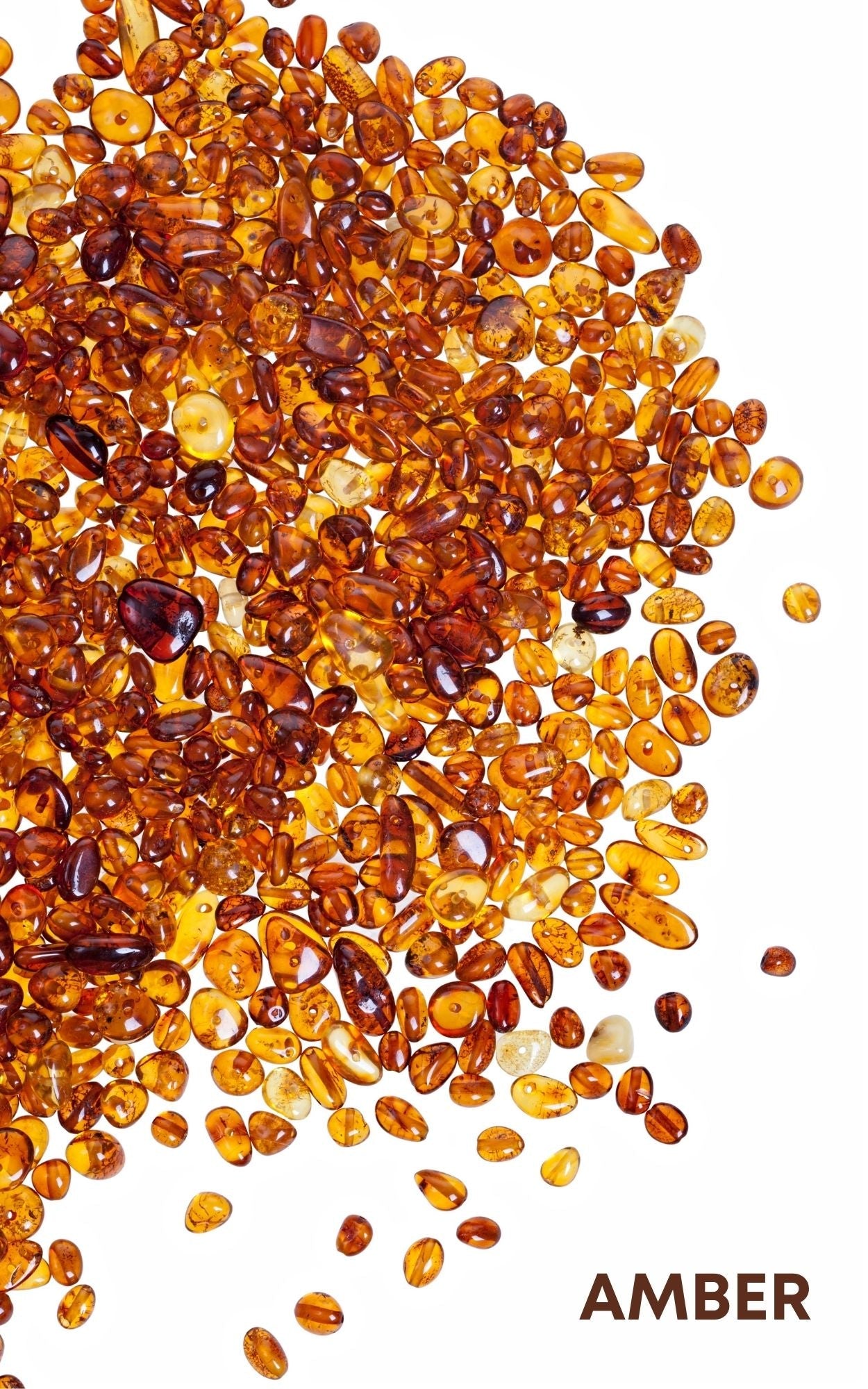 Amber 1/4 oz Perfume Oil Extract Roll-On by Sage - The Sage Lifestyle