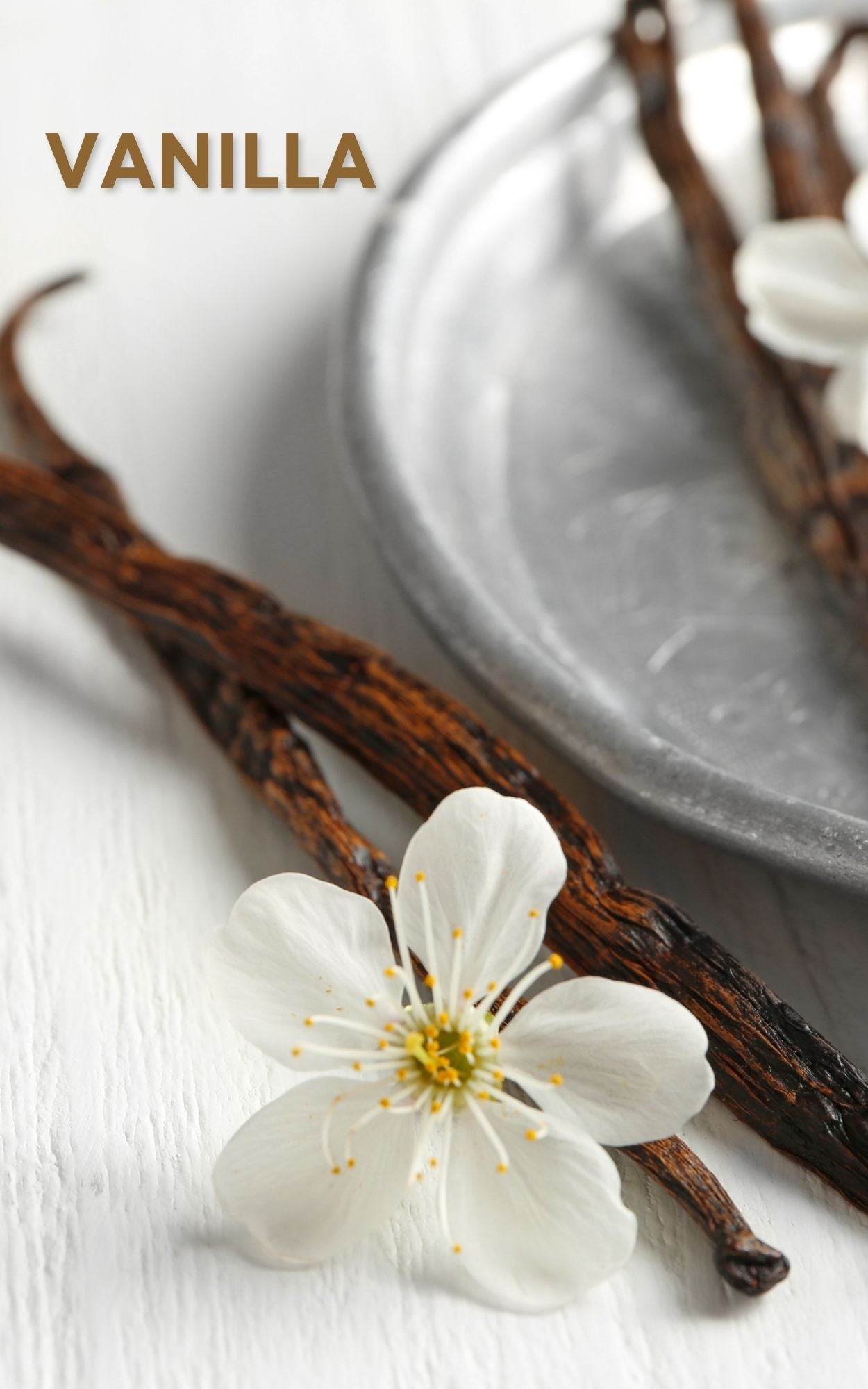 Jade 8 oz Luxury Candle by Sage - The Sage Lifestyle