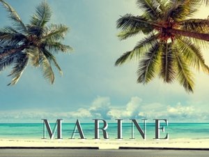 Marine Gift Sets