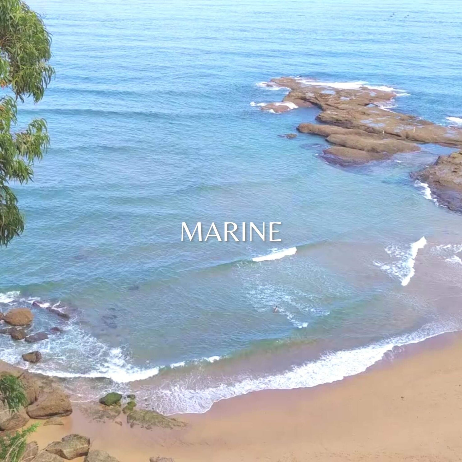 Marine Perfumes - The Sage Lifestyle