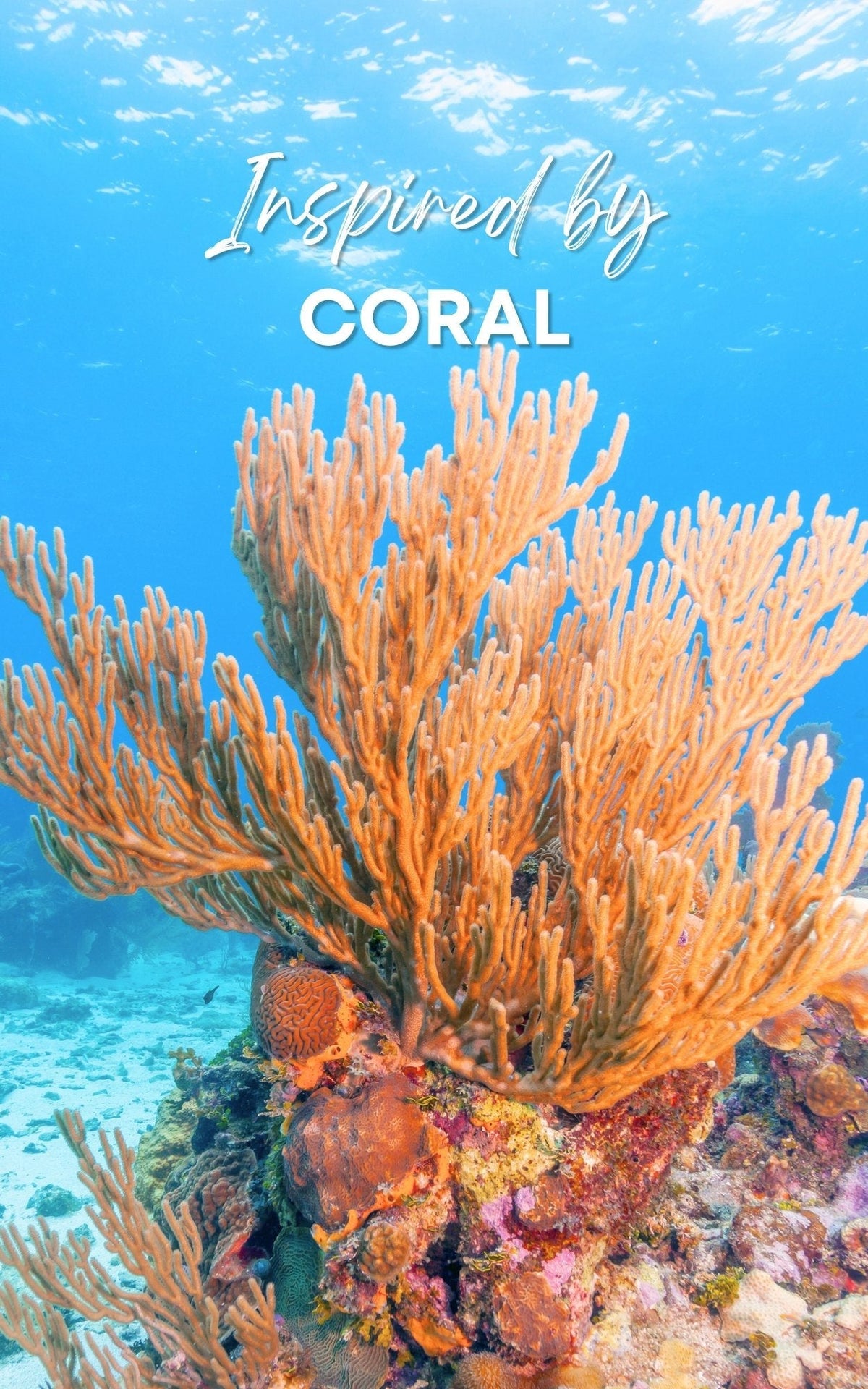 Coral Perfume Oil Concentrate Mini Rollie with Gemstones by Sage - The Sage Lifestyle
