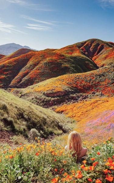Amber & Carnelian Blend Perfume Oil Mini Rollie by Sage - The Sage Lifestyle
