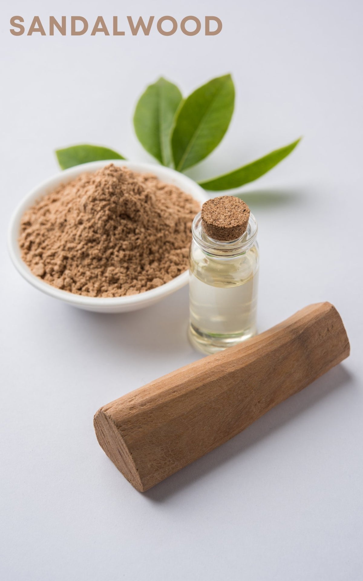 Scent notes include Close-up of rough, textured Indian sandalwood bark with rich tones, highlighting subtle earthy qualities