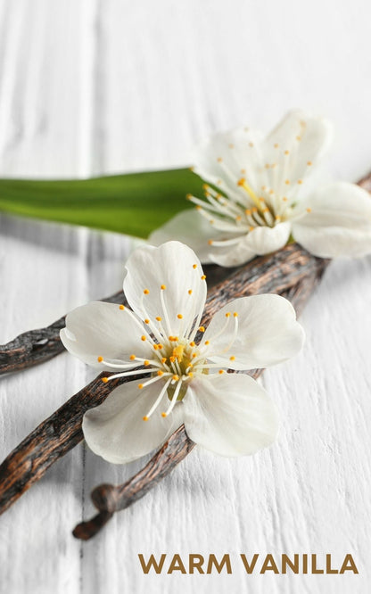  contains a delightful scent and display of warm vanilla, creating a soothing and inviting atmosphere with its rich aroma
