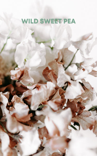 Sage & Citrine Blend Perfume Oil Sample by Sage - The Sage Lifestyle